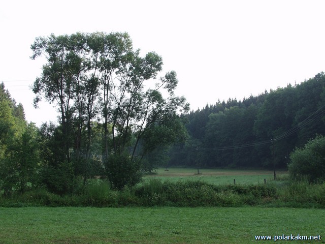 P7207491