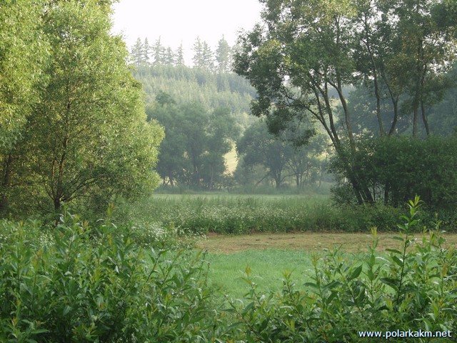 P7207492