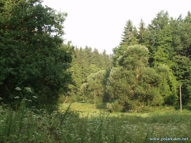 P7207495