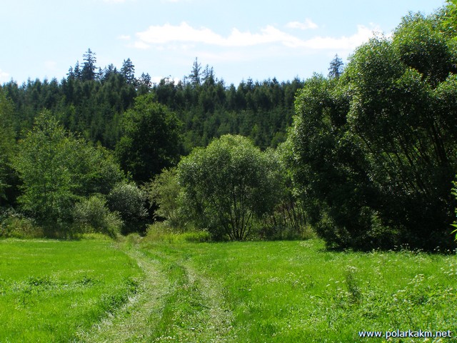 vlcatycervenec 122