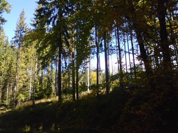 DSC00065