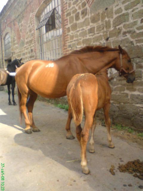 DSC00329