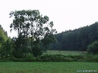 P7207491