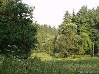 P7207495