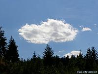 vlcatycervenec 123