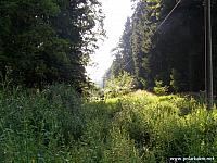 vlcatycervenec 227