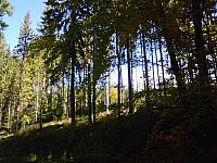 DSC00065