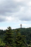  DSC0705