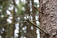 IMG 4341