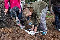 IMG 4579