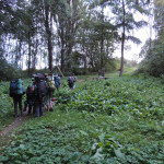 DSCN0785