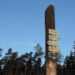 DSCN0811